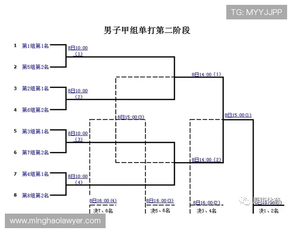 全国锦标赛分析:成都羽毛球队灵活性展现与战术运用的深度解读