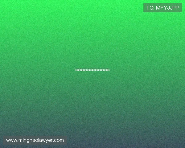 和平精英新手必看攻略轻松上手的节奏与技巧指南